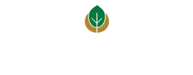 Bogawantalawa Tea